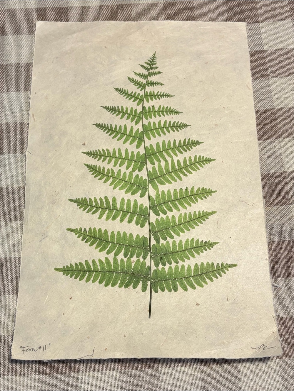 Botanical Fern Print on Handmade Paper 9X14”